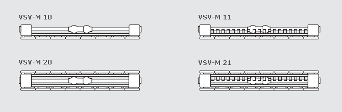 VSV-M overview of models